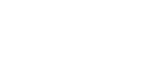 soleee beyaz logo